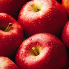 HERBATKA OWOCOWA LOYD JABŁKO Z CYNAMONEM 20 TOREBEK