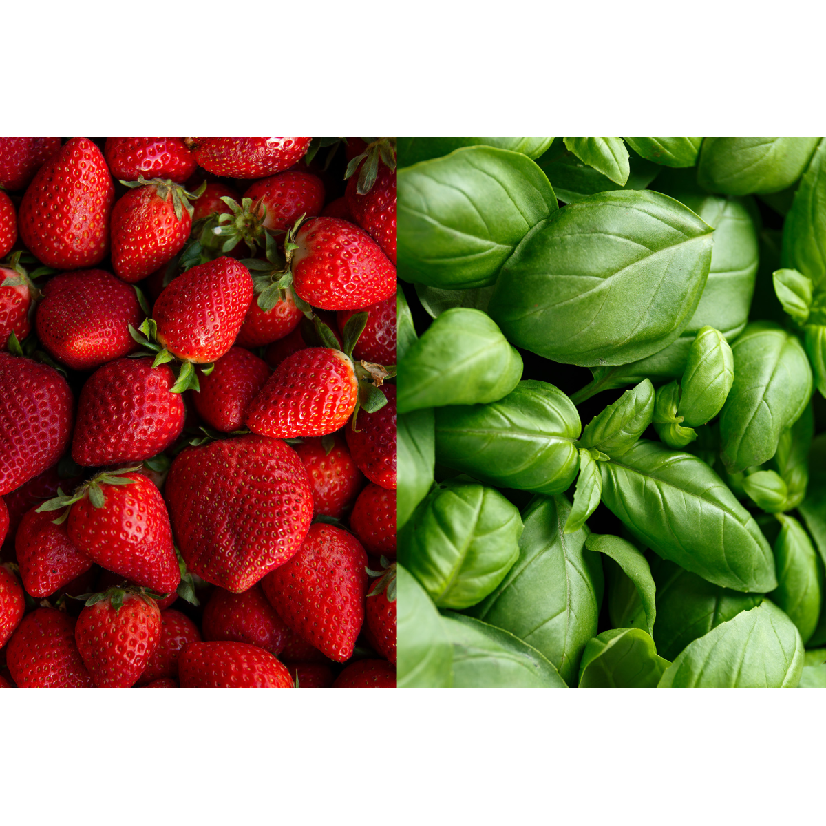 Zestaw Mix Smaków Lemoniada Fresh - 3x3