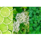 TANIEJ! 7 SZTUK LEMONIADA HUGO 40G ZESTAW