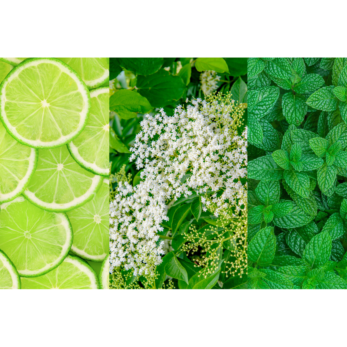 TANIEJ! 7 SZTUK LEMONIADA HUGO 40G ZESTAW