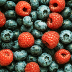 SHAKE RELAX 10 SZTUK CAŁE OPAKOWANIE OWOCE LEŚNE