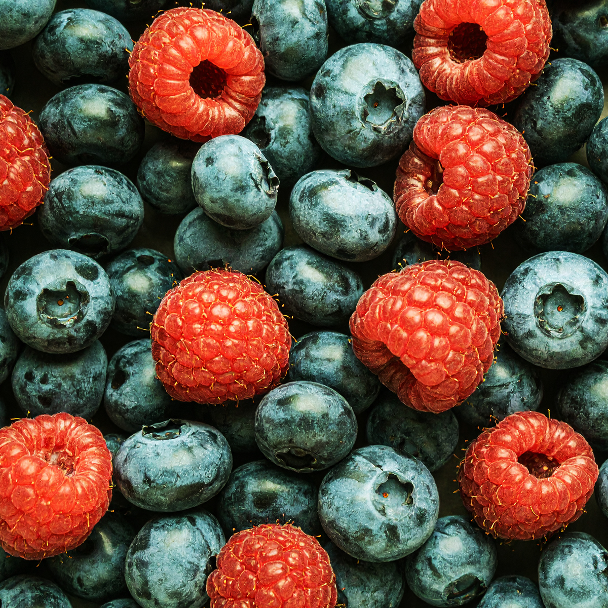 SHAKE RELAX 10 SZTUK CAŁE OPAKOWANIE OWOCE LEŚNE