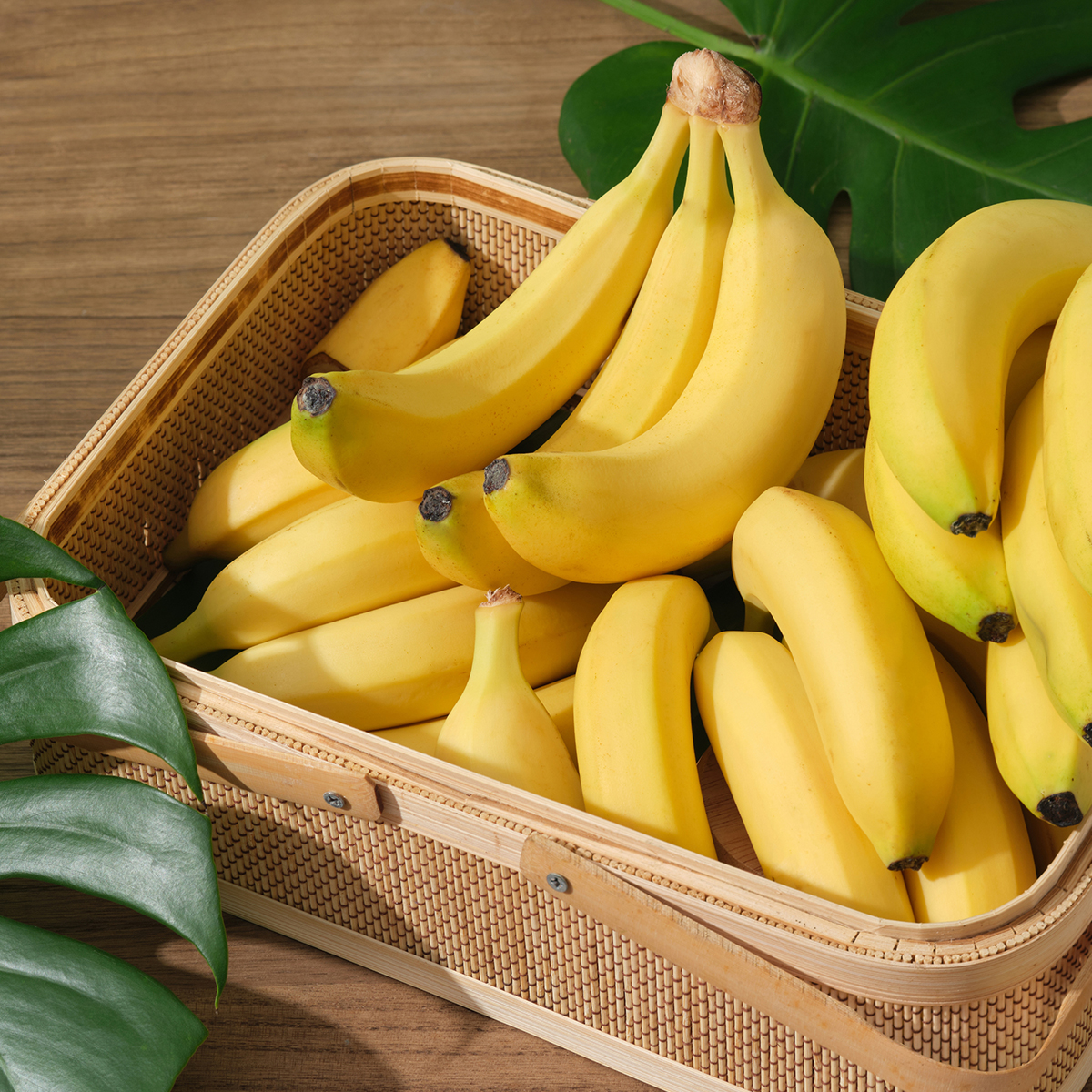 ZESTAW 10 SZTUK NAPÓJ CZEKOLADOWY BANANOWY 10X27G