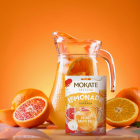 10 X LEMONIADA FRESH CYTRUSOWA + GUARANA