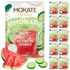 10 x LEMONIADA FRESH ARBUZ I OGÓREK + BŁONNIK