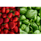 10 X LEMONIADA FRESH TRUSKAWKA+BAZYLIA Z KOLAGENEM