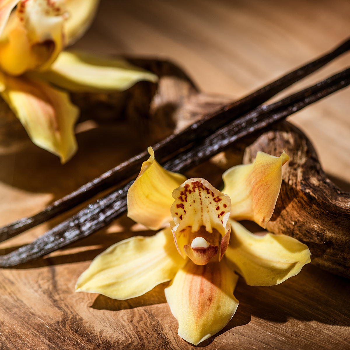 10 sztuk x Cappuccino Zero Wanilia